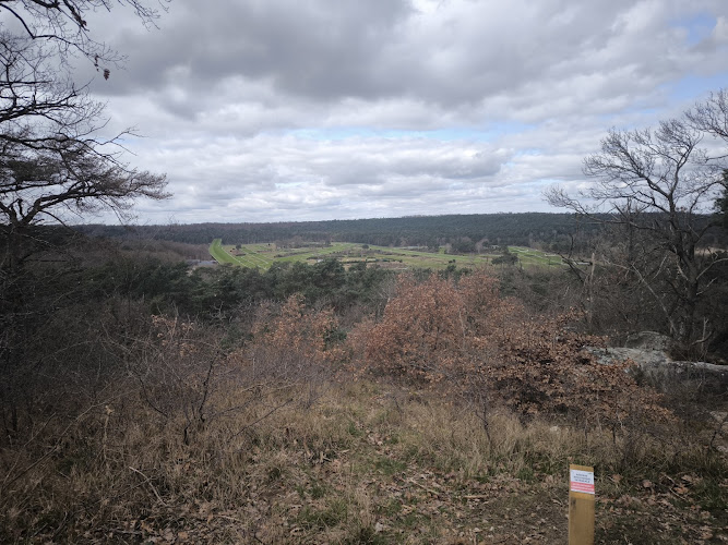 Point de vue sur l