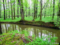 Polanská niva Travel Forum Reviews