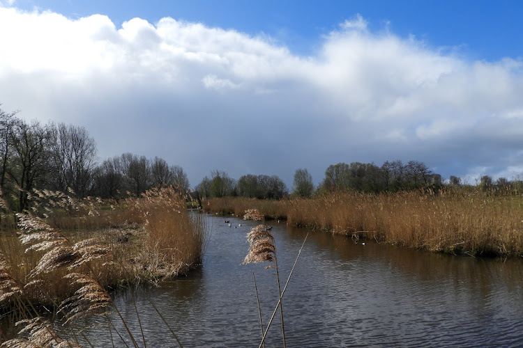 Polderpark Cronesteyn