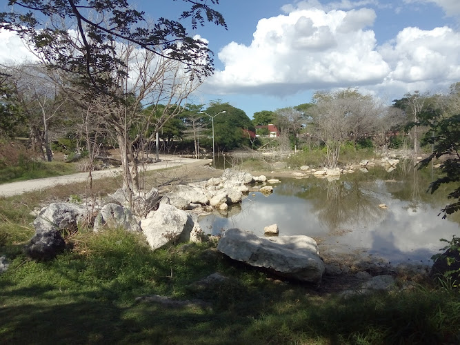 Poniente Ecological Park