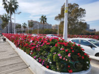 Pont de les Flors- Alcaldessa Rita Barberá Travel Forum Reviews