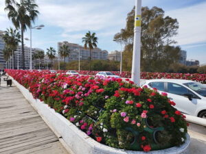 Pont de les Flors- Alcaldessa Rita Barberá