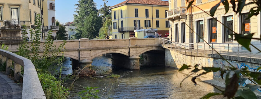Ponte dei Leoni Travel Forum Reviews