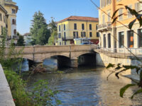 Ponte dei Leoni Travel Forum Reviews