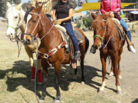 PopoPark Park Travel Forum Reviews