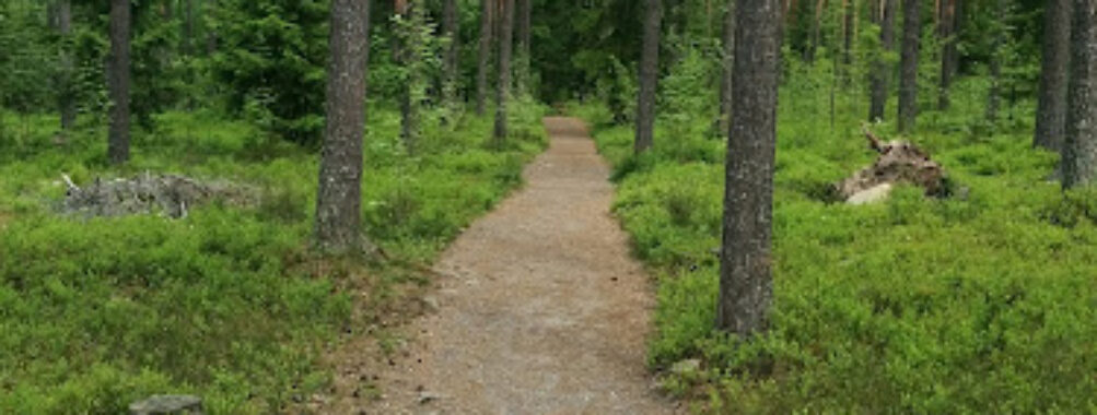 Pori Forest Travel Forum Reviews