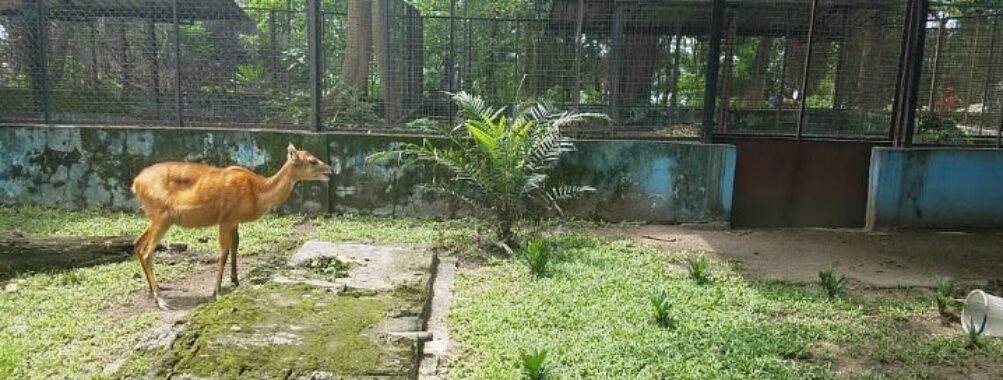 Port Harcourt Zoo Travel Forum Reviews