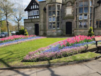 Port Sunlight Museum Travel Forum Reviews