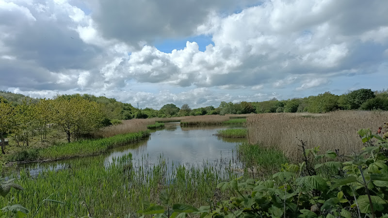 Port Sunlight River Park