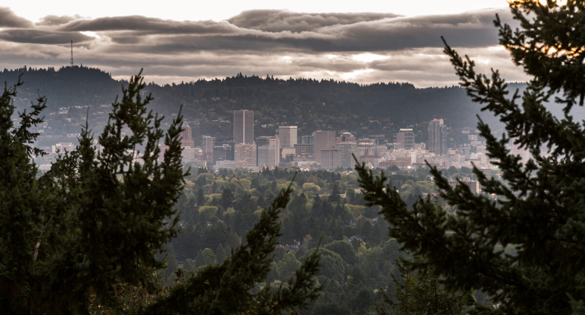 Oregon wine tasting tour Review