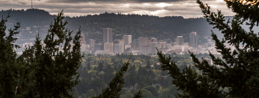 Afternoon half-day to Multnomah Falls and River Gorge Waterfalls Review