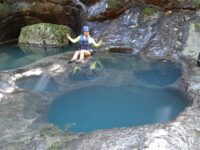 Poza Pata De Perro Travel Forum Reviews