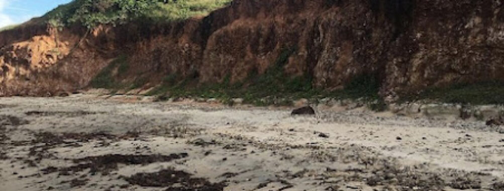 Praia de Rio do Fogo Travel Forum Reviews