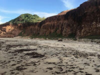 Praia de Rio do Fogo Travel Forum Reviews