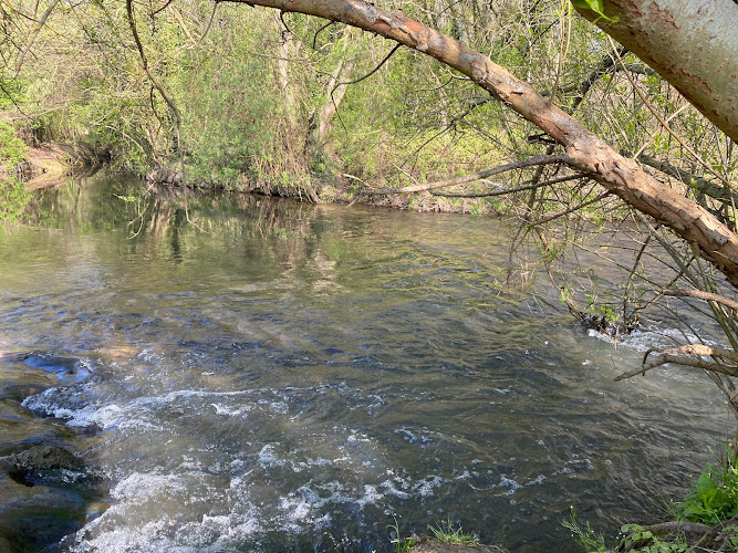 Prairie de Villemoisson – Vallée de l’Orge