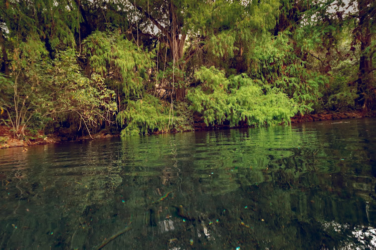 Presa De Cutzarondiro