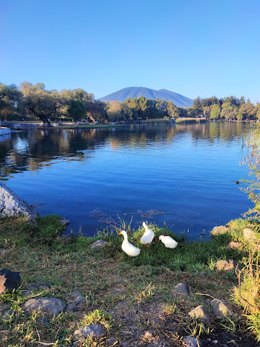 Presa De La Luz