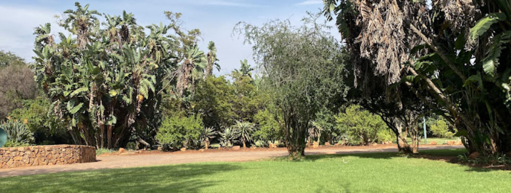 Pretoria National Botanical Gardens Travel Forum Reviews