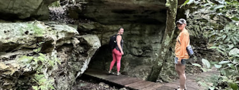 Primeval Forest National Park Travel Forum Reviews