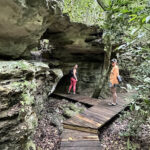 Primeval Forest National Park