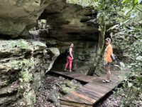 Primeval Forest National Park Travel Forum Reviews