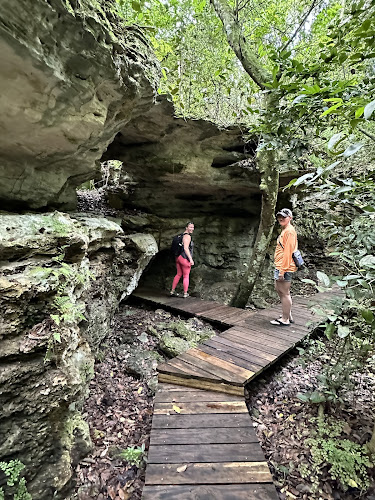 Primeval Forest National Park