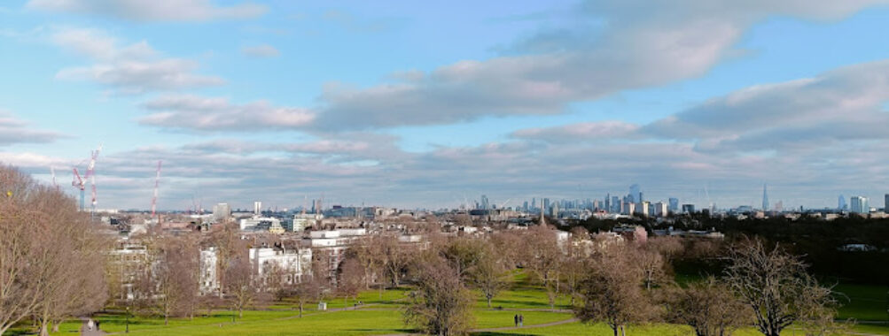 Primrose Hill Travel Forum Reviews