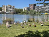 Prinsenpark Travel Forum Reviews