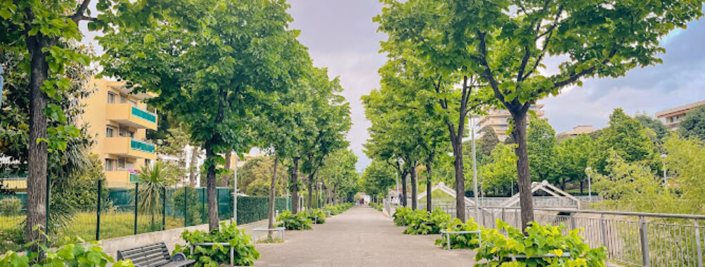 Promenade Travel Forum Reviews
