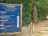 Promenade Yvette Horner Travel Forum Reviews