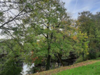 Promenade de la Dhuis Travel Forum Reviews