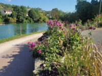 Promenade des bords de marne Travel Forum Reviews