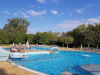 Provinciedomein Kessel-Lo Travel Forum Reviews
