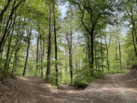 Przełęcz Lipowa Travel Forum Reviews