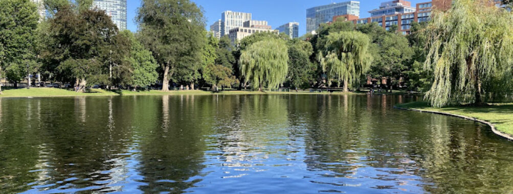 Public Garden Travel Forum Reviews