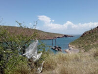 Público Park Travel Forum Reviews