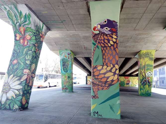 Puente Irrigacion, Encuentro Internacional De Muralistas