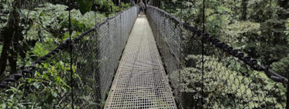 Puentes Colgantes Arenal, Mistico Park Travel Forum Reviews