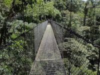 Puentes Colgantes Arenal, Mistico Park Travel Forum Reviews
