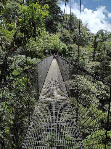 Puentes Colgantes Arenal, Mistico Park