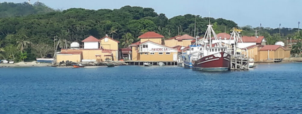 Puerto El Bluff Travel Forum Reviews