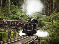 Puffing Billy Railway Travel Forum Reviews