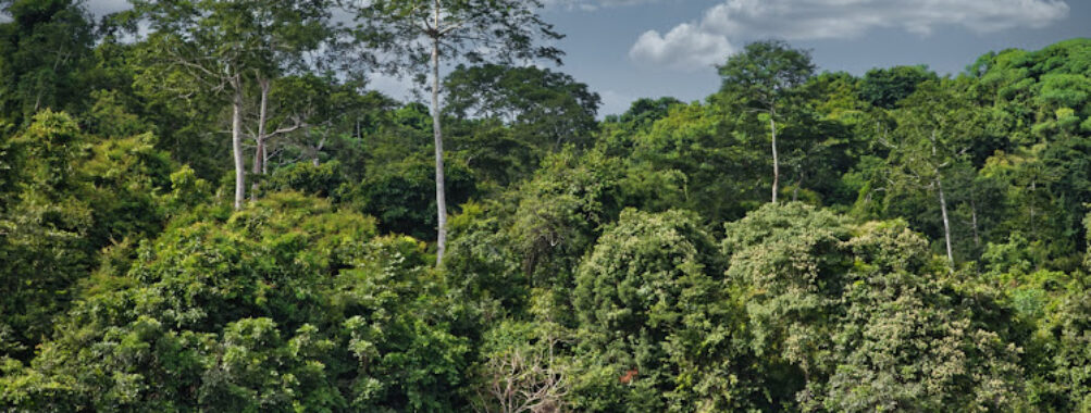 Pugu Hills Forest Reserve. Travel Forum Reviews