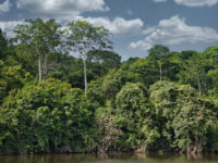 Pugu Hills Forest Reserve. Travel Forum Reviews