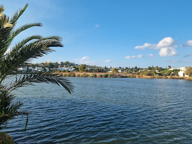 Punic Ports of Carthage
