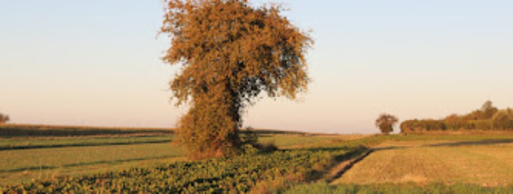 Punkt widokowy Żeglarska Travel Forum Reviews