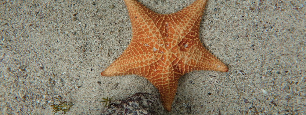 Punta Culebra Nature Center Travel Forum Reviews