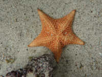 Punta Culebra Nature Center Travel Forum Reviews