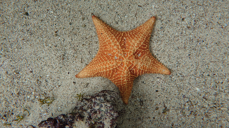 Punta Culebra Nature Center
