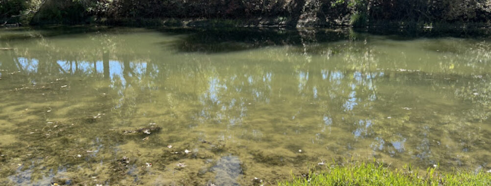 Putah Creek Riparian Reserve Travel Forum Reviews